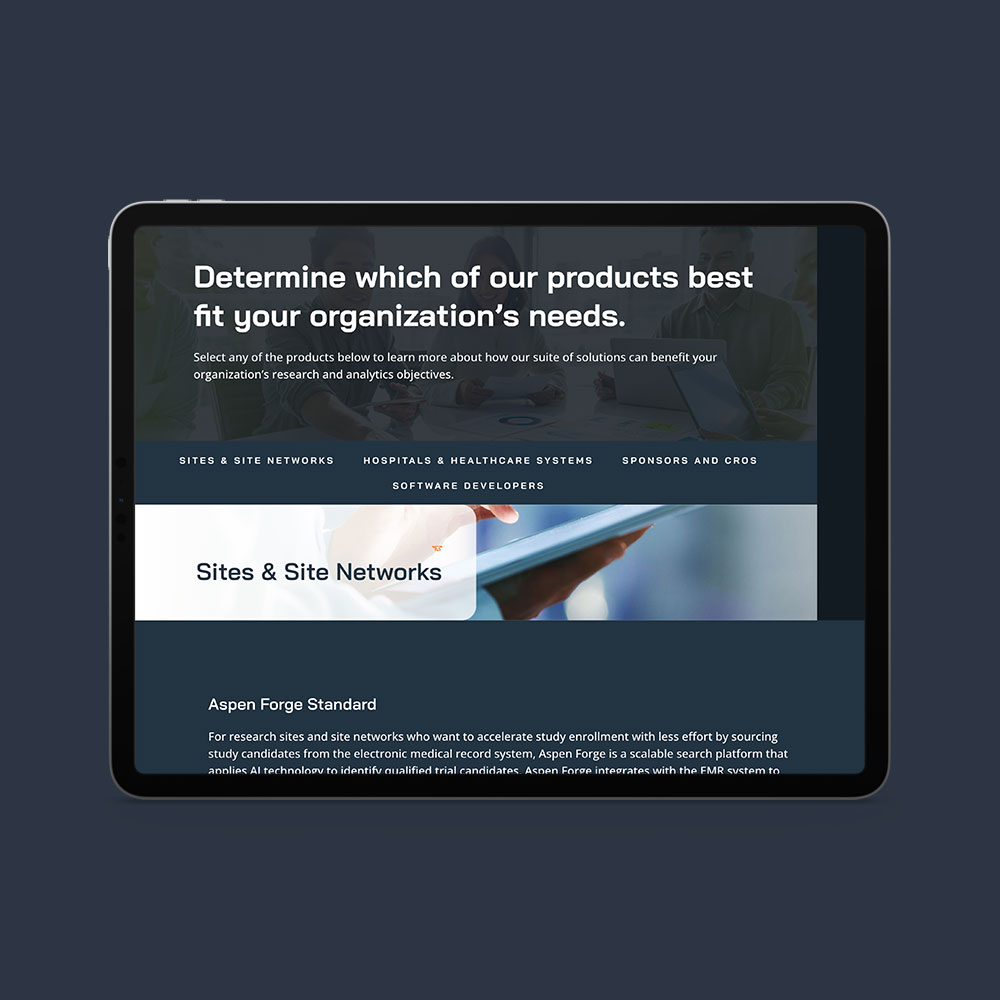 Aspen Insights – Website Design image 2