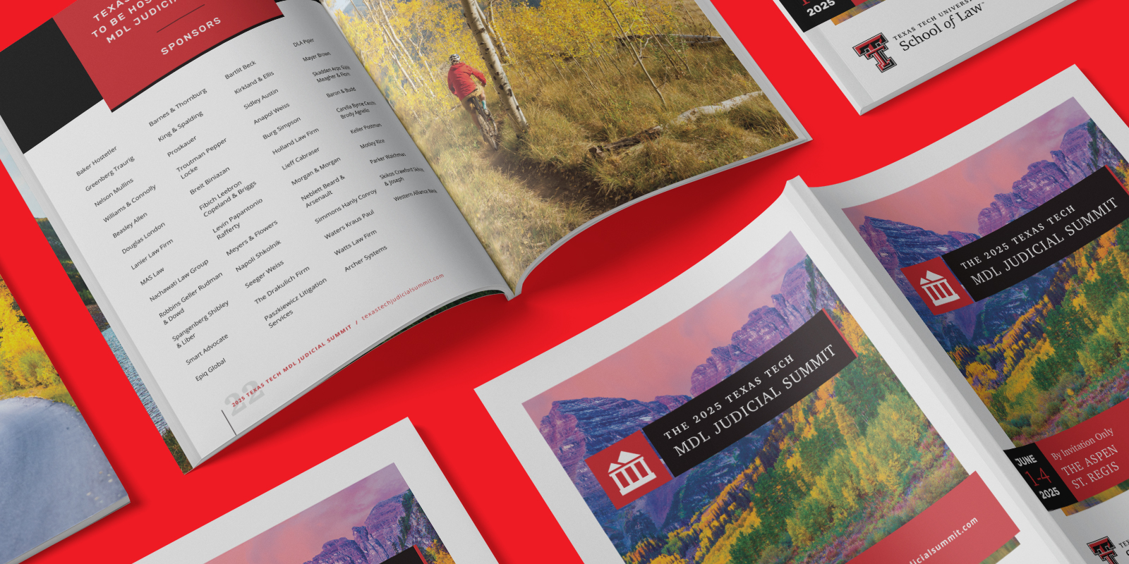 MDL Judicial Summit – 2025 Brochure image 1