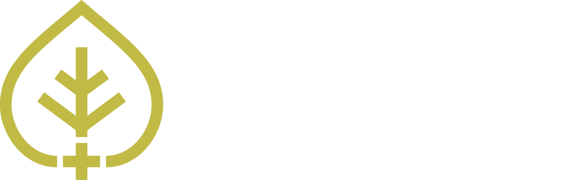 Aspen Insights – Branding image 1