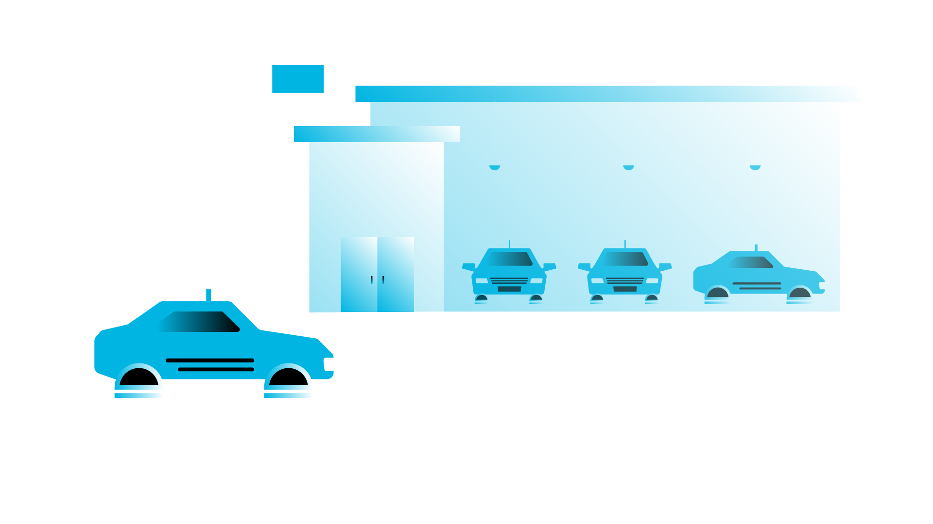 Carnomaly – Custom Illustration image 2