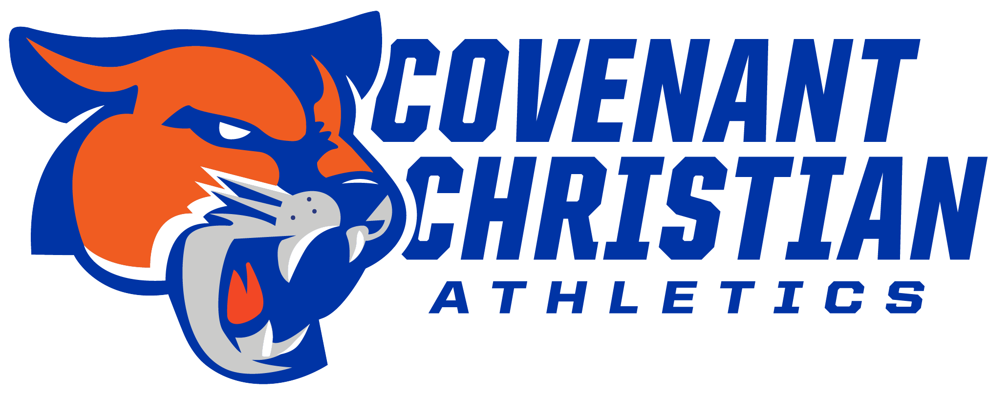Covenant Christian – Sub-Brands image 1