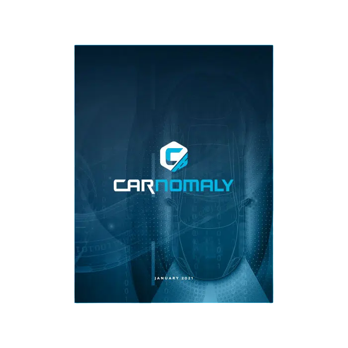 Carnomaly – Responsive Web Design image 2