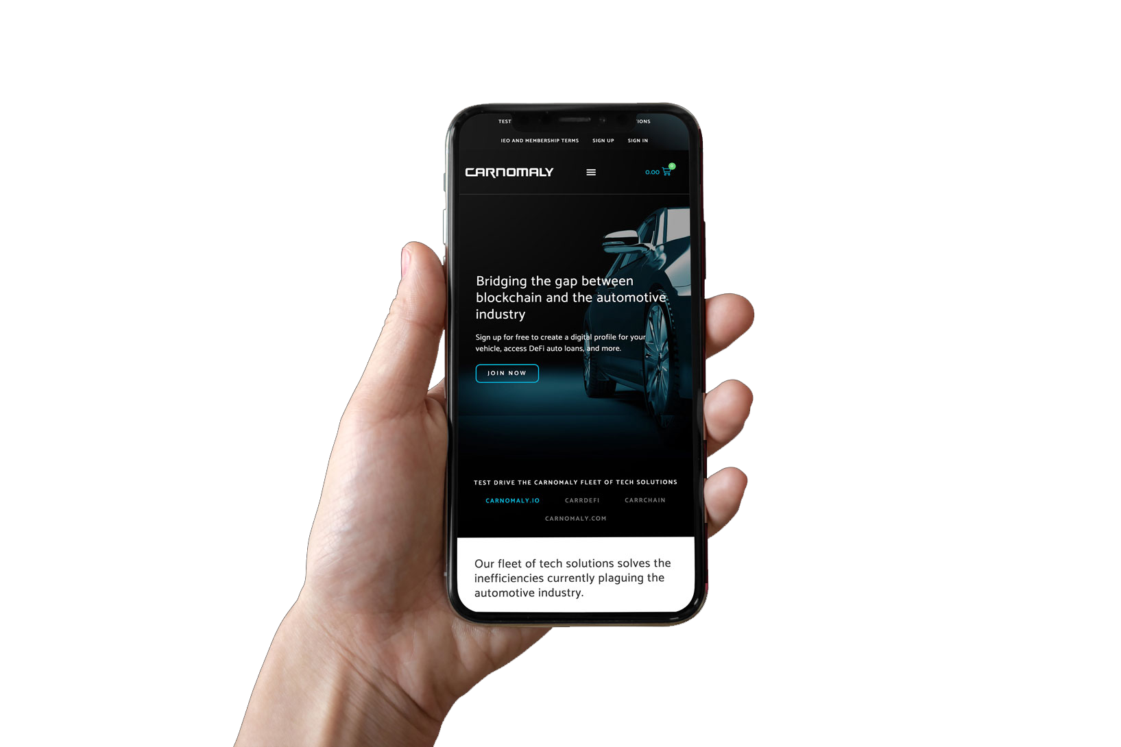 Carnomaly – Responsive Web Design image 1
