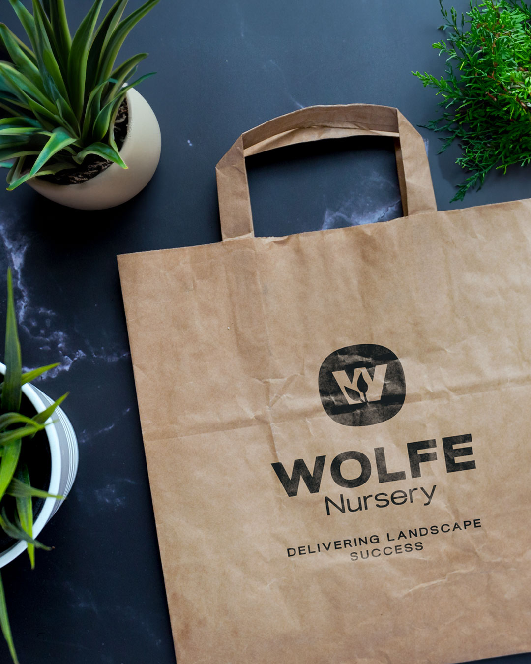 Wolfe Nursery – Stickers / Bag / Logo on Shirt image 2