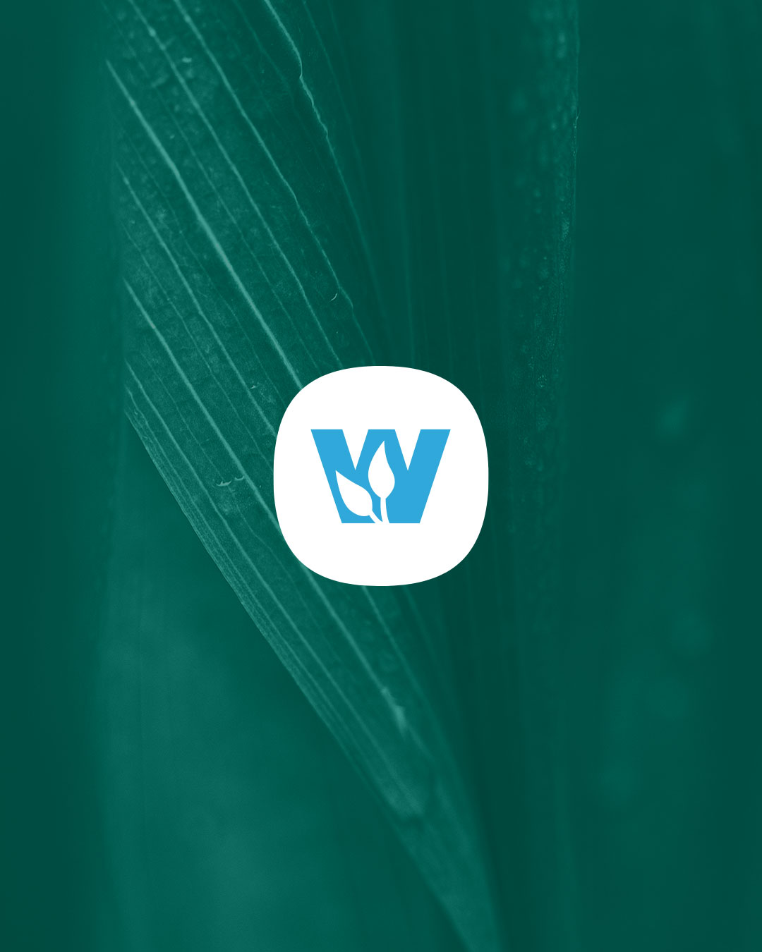 Wolfe Nursery – Tex Badge / Mark / Logo With Slogan image 2