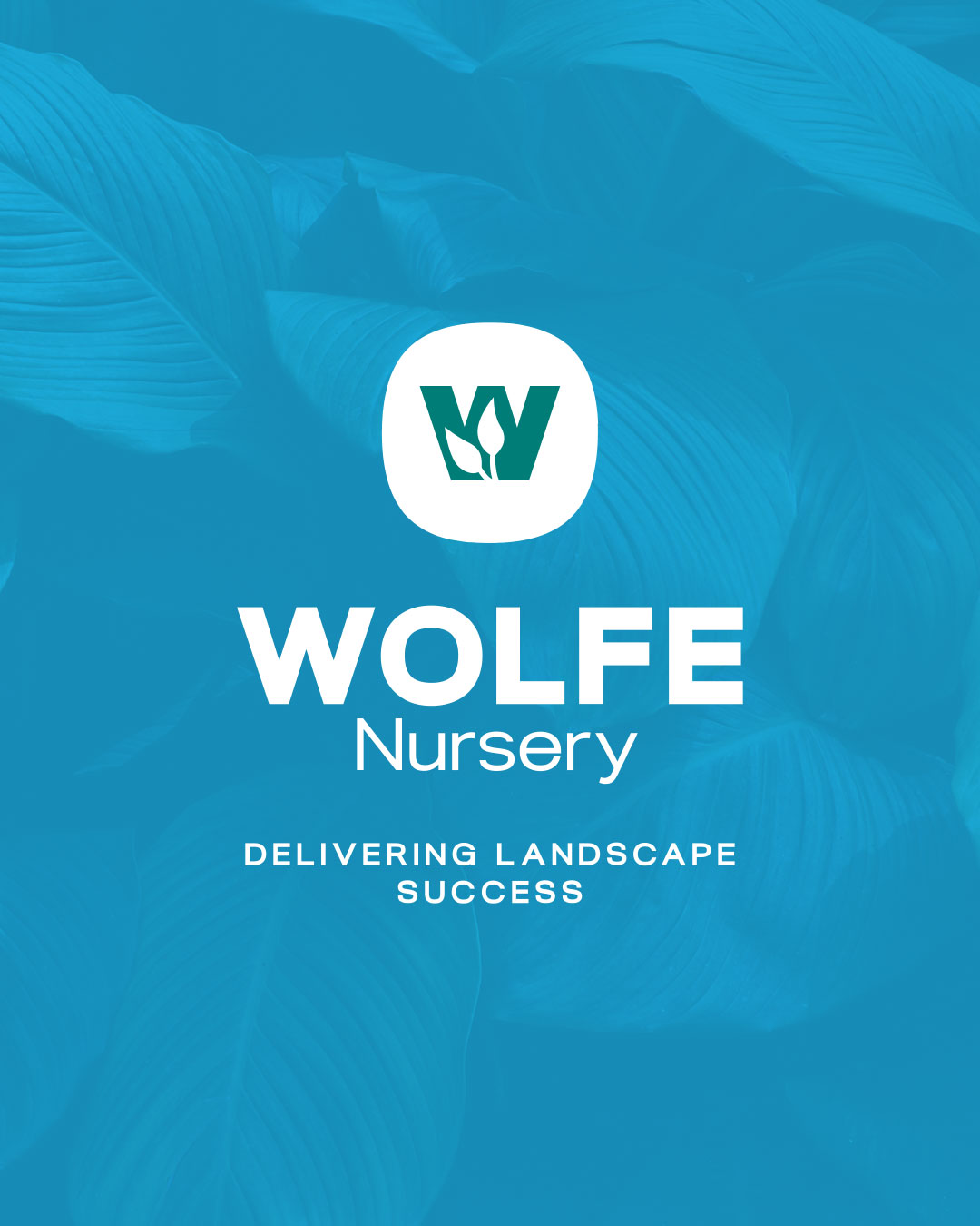Wolfe Nursery – Tex Badge / Mark / Logo With Slogan image 3