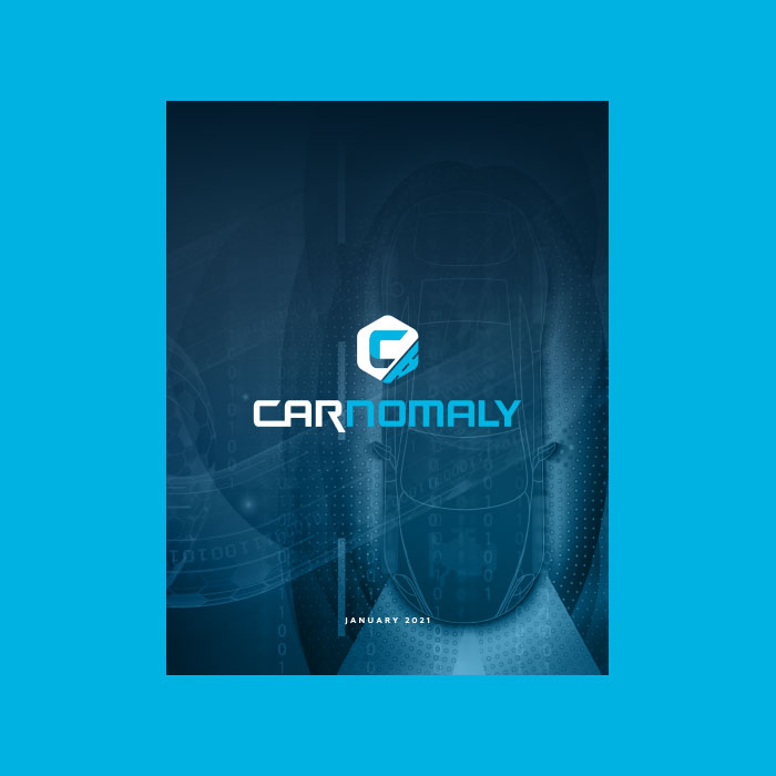Carnomaly project image 5