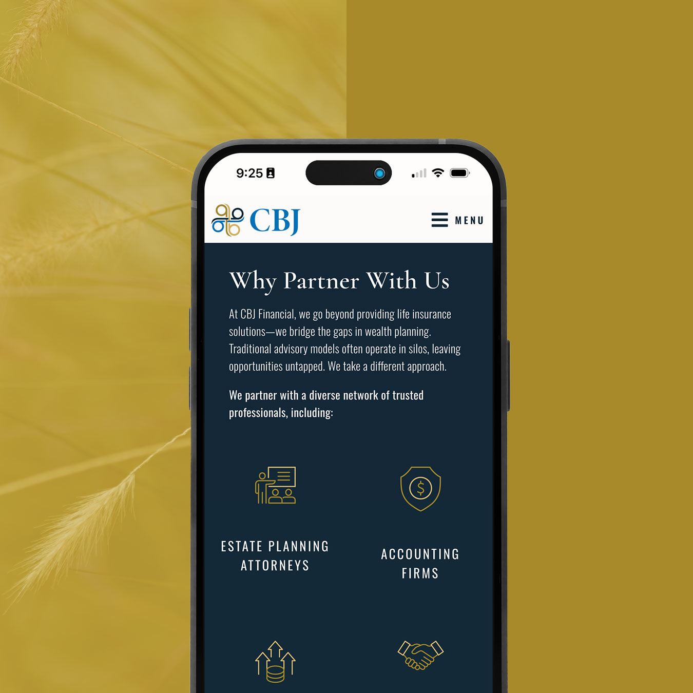 CBJ Financial – Website Design image 1